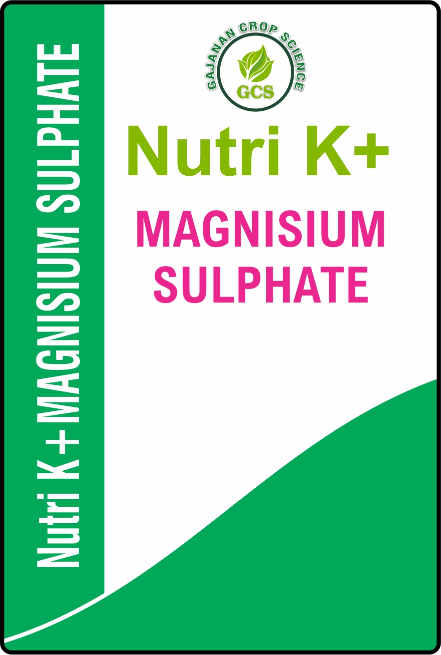 Magnesium Sulphate